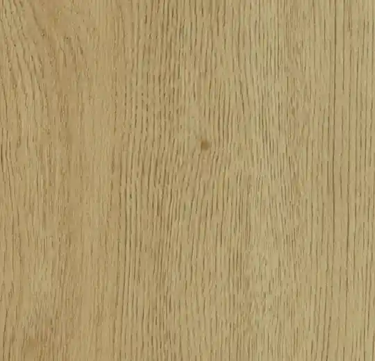Forbo Allura Decibel Wood Light Honey Antique Oak 5403AD3 Plank Dryback Shop Nu