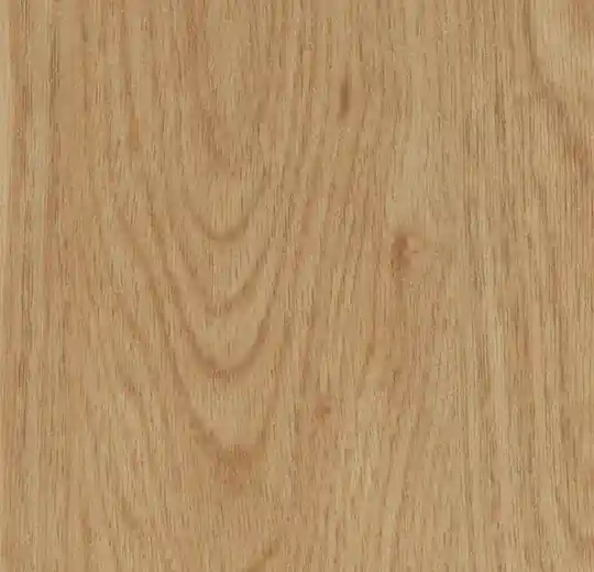 Forbo Allura Wood Honey Elegant Oak 60065DR4 Plank Dryback Favoriet