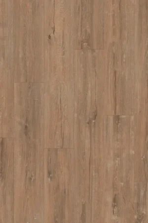 Koop Online Saffier Estrada Forest Oak Plank