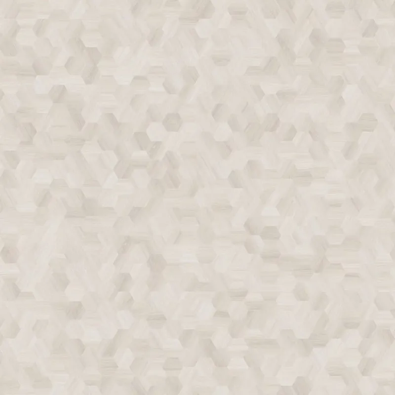 Meest Verkocht Moduleo Moods Hexagon Mono 614 Specials Dryback