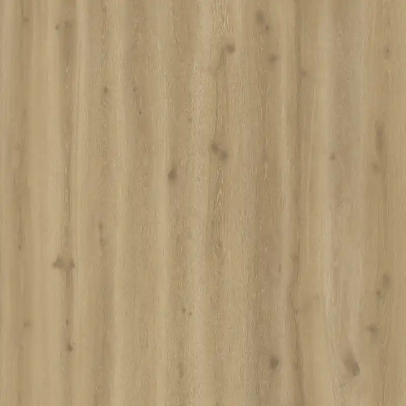 Voordeelprijs Castell Ultimate 890 193 Oak Cognac Plank XL Dryback