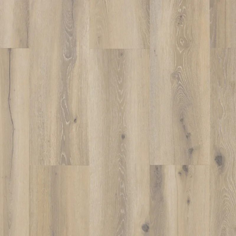 Betaalbaar Castell Premium 871 029 Forest Nutmeg 24503029 Plank XL Dryback