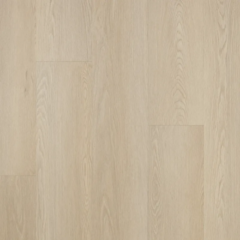 Castell Premium 911 1111 Camel Plank XL Dryback Beperkte Voorraad