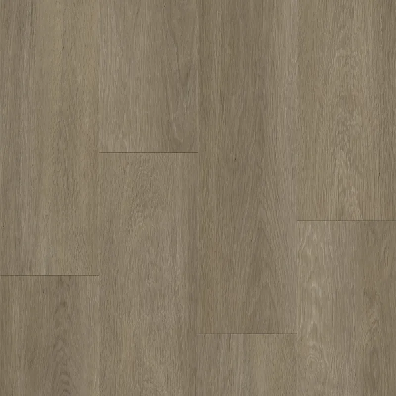 Betrouwbaar Bodiax Estrela 123 Ash Plank Dryback