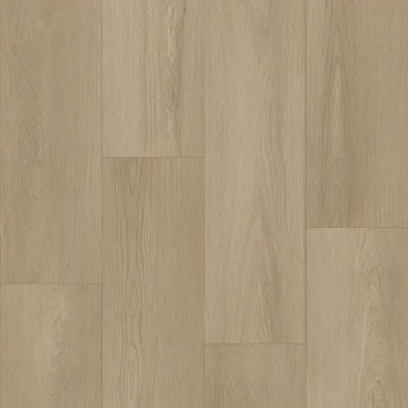 Bodiax Longa 337 Blossom Plank XL Dryback Laatste Versie