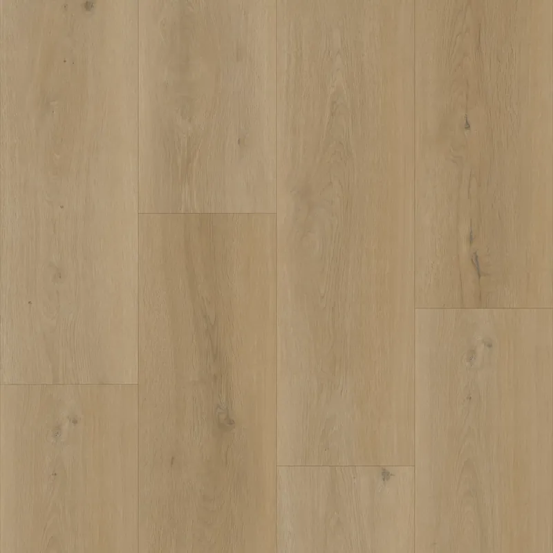 Lage Kosten Bodiax Longa 331 Silt Plank XL Dryback