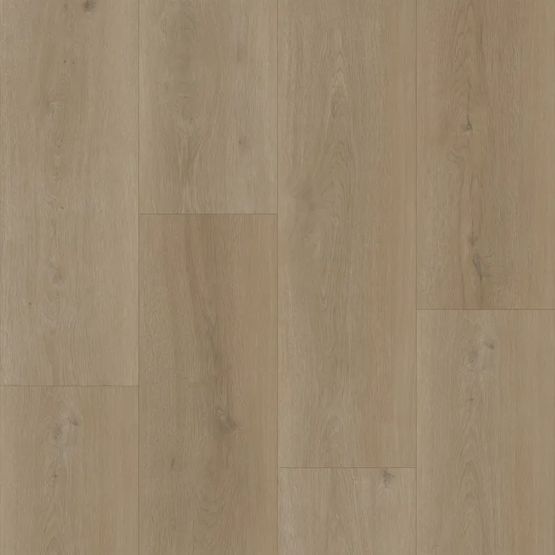Bodiax Longa 330 Legian Plank XL Dryback Snelle Levering
