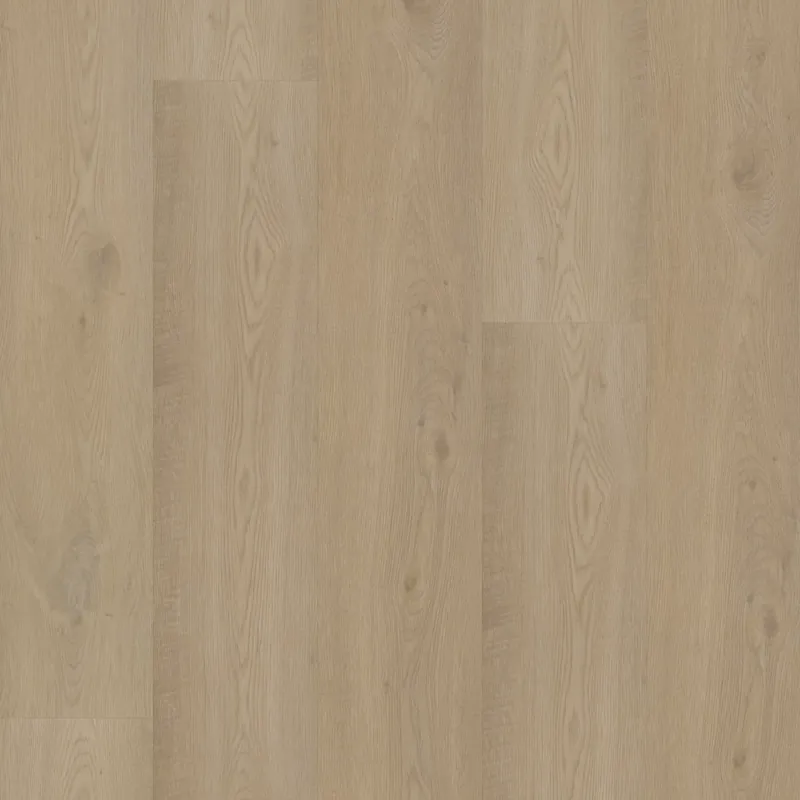 Bodiax Longa 313 Pickering Oak Plank XL Dryback Koop Online