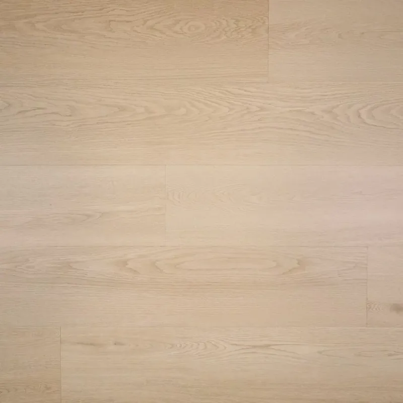 Lage Prijs Douwes Dekker Plank Abrikoos Dryback