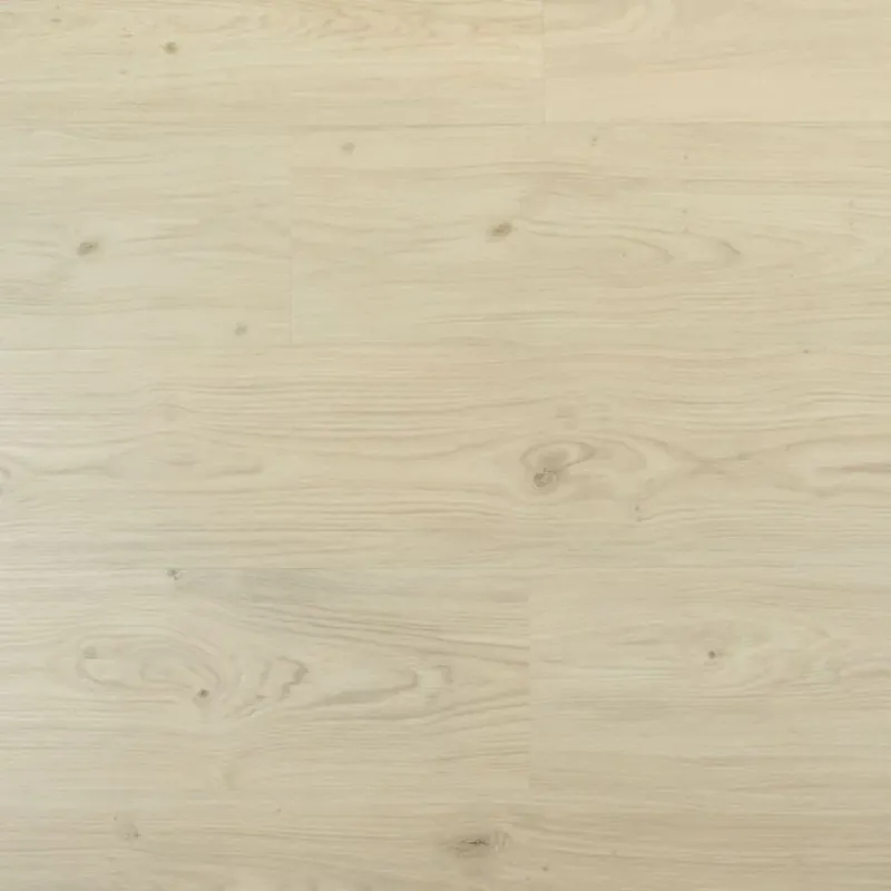 Douwes Dekker Riante Plank Cheesecake Dryback Laatste Kans