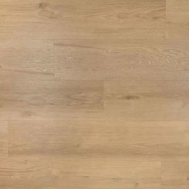 Douwes Dekker Riante Plank Gemberkoek Click Express Levering