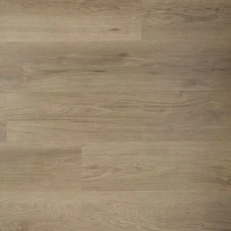 Koop Online Douwes Dekker Riante Plank Spekkoek Click