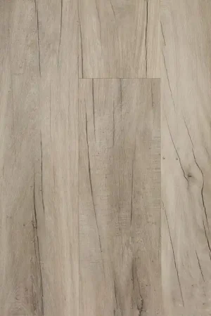 Direct Beschikbaar TFD Futura 39-1 Plank XL Dryback