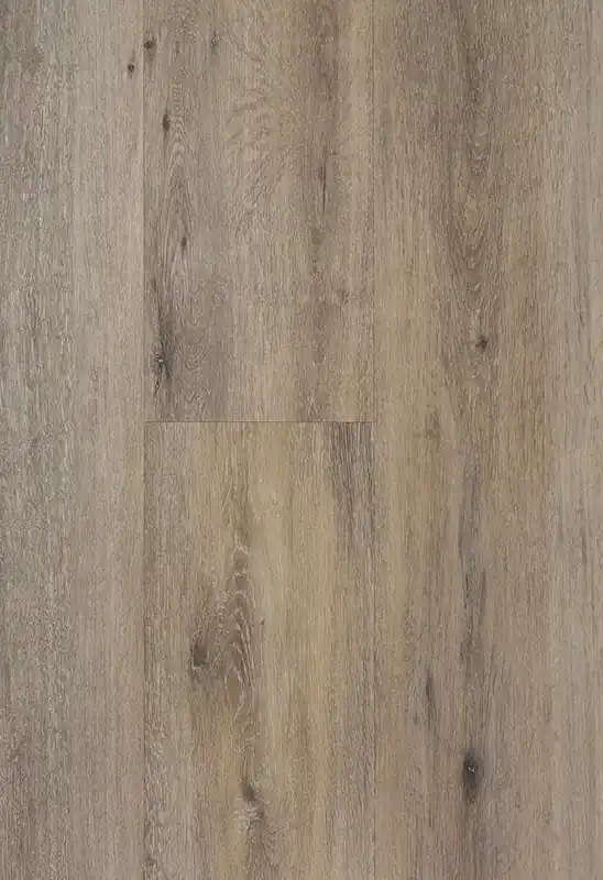 Meest Verkocht TFD Pro+ 1146-1 Plank XL Dryback