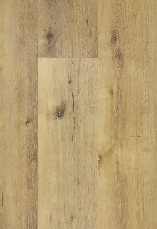 Korting TFD Pro+ 1145-2 Plank XL Dryback