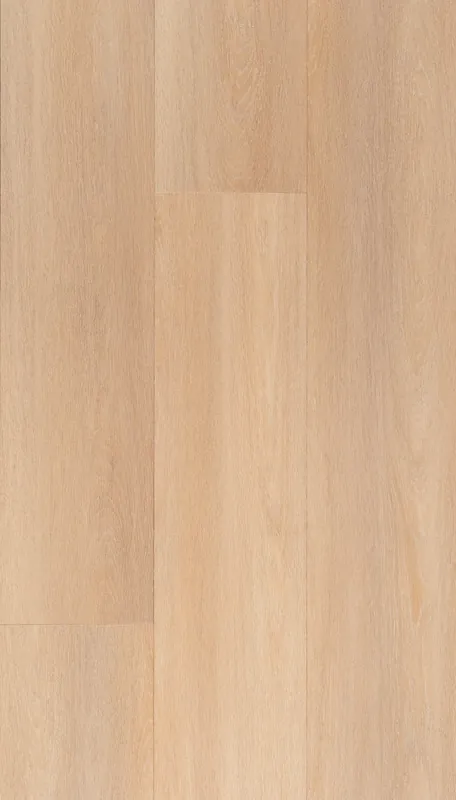 Beste Prijs TFD Nature 237-6 Plank XL Dryback
