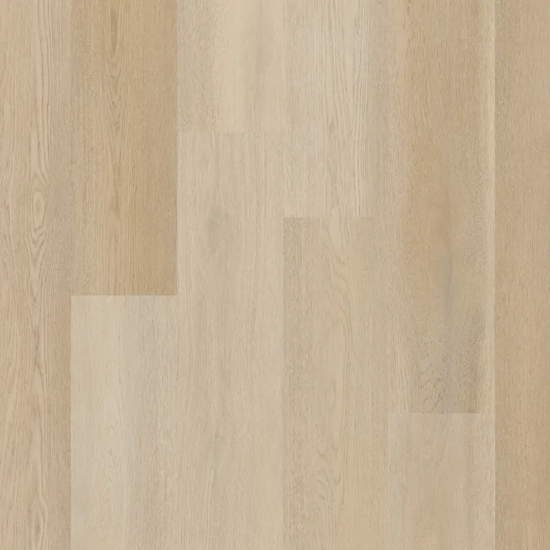 Therdex Premier 15082 Plank XL Dryback Voordeelprijs