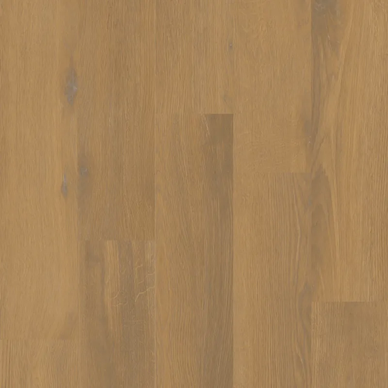 Therdex Private 8101-13 Plank XL Dryback Bestel Nu