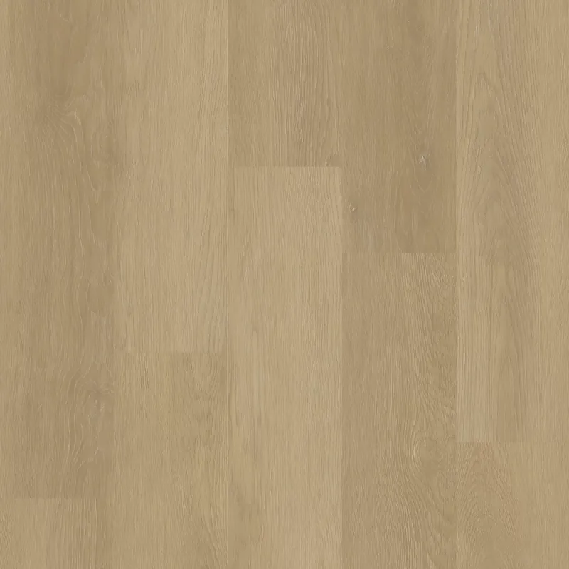 Gecertificeerd Therdex Private 8103-12 Plank XL Dryback