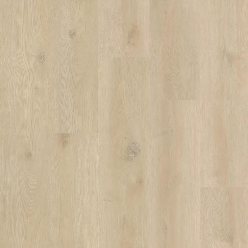 Flitsaanbieding Therdex Xstralong 18080 Plank XL Dryback