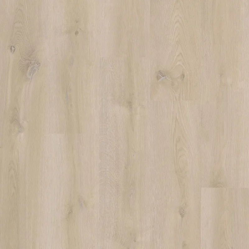 Veilige Betaling Therdex Xstralong 18070 Plank XL Dryback