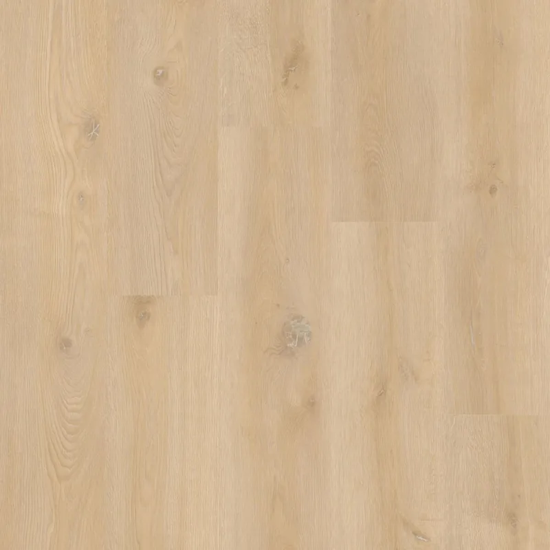Therdex Xstralong 18090 Plank XL Dryback Voordeelprijs
