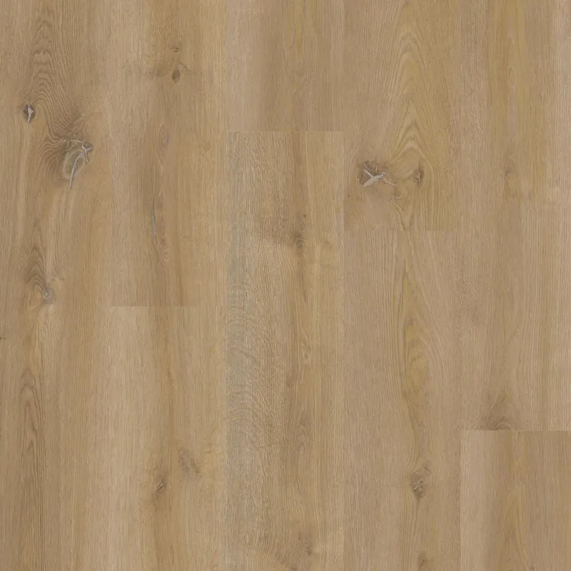 Therdex Xstralong 18100 Plank XL Dryback Koop Vandaag