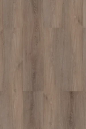 Favoriet Room 5 Ambassador Oak Plank XL Dryback