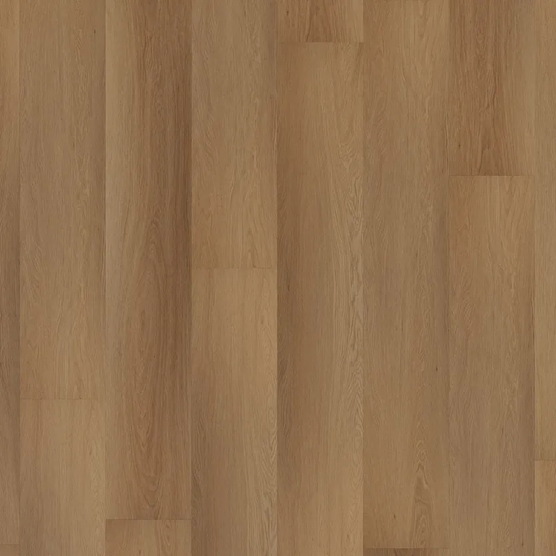Room 5 Western Hemlock Plank XL Dryback Gecertificeerd