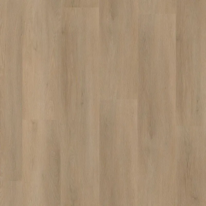 Direct Beschikbaar Ambiant Sentima beige Plank Click