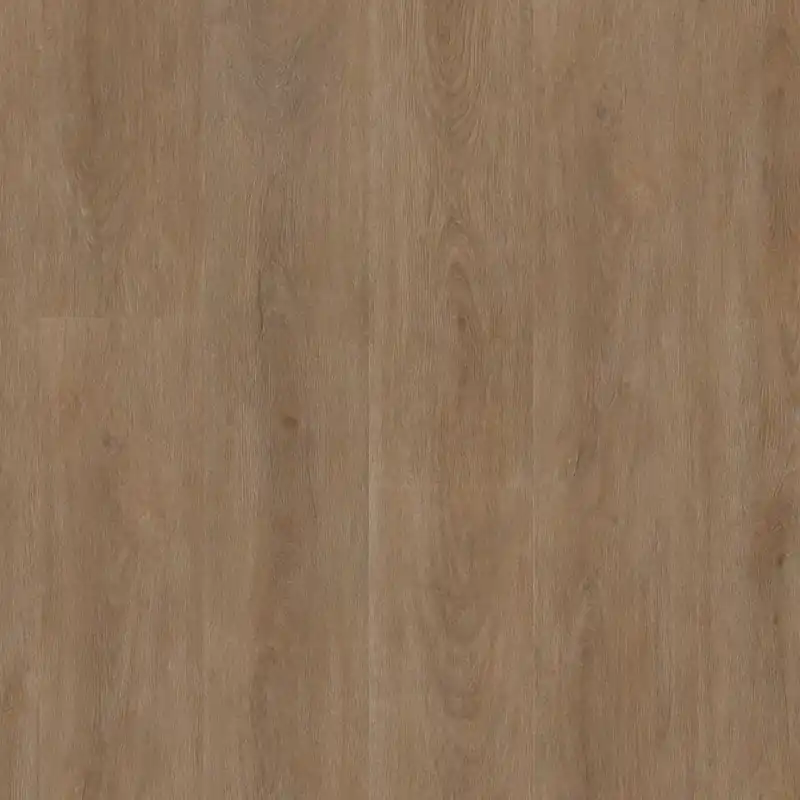 Meest Verkocht Ambiant Robusto dark oak Plank XL Dryback