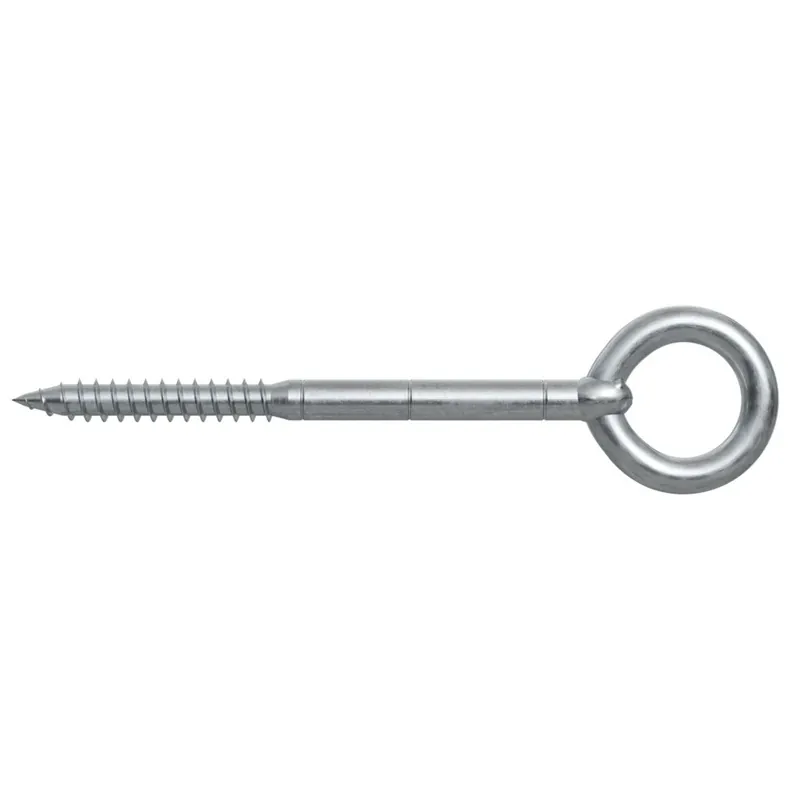 Fischer Steigerverankeringsoog 12x300mm – 81269 Gratis Retour