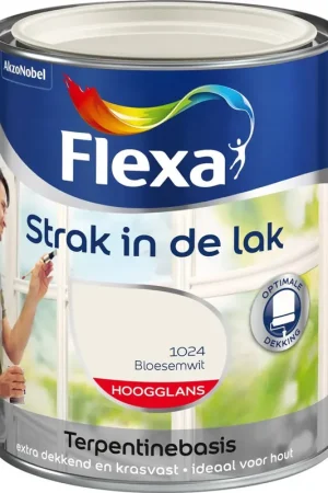 Alleen Vandaag Flexa Strak in de Lak
