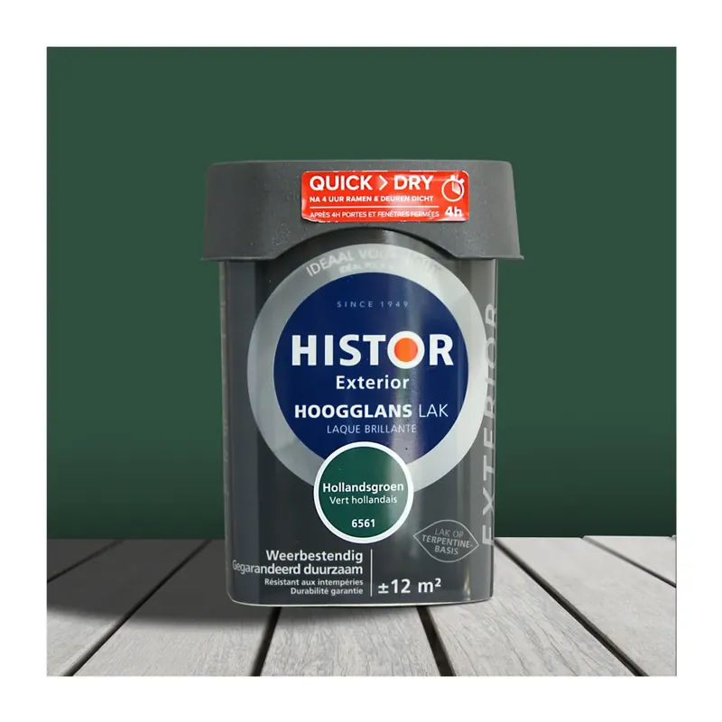 Stijlvol Buitenschilderwerk met Histor Exterior Lak Hoogglans Hollandsgroen 6561 Meest Verkocht