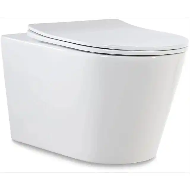 BLUE FOSS WC + SC 49CM SPINFL GLANS WIT Gereduceerde Prijs