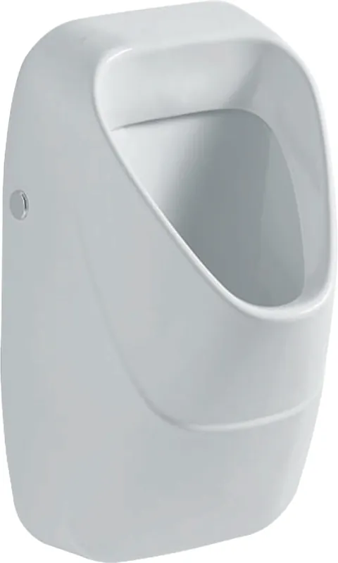 Beperkte Voorraad Geberit 300 Urinoirs, Urinoir, mikpunt, achterinlaat, afvoer achter/onder, 570 x 340 x 340mm (HxBxD), wit