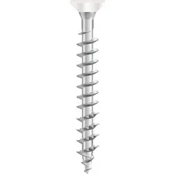 Lage Prijs Dynaplus beslagschroeven verzinkt 4x40mm TX20 witte kop