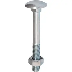 Alleen Vandaag Slotbouten & moeren M10x50mm