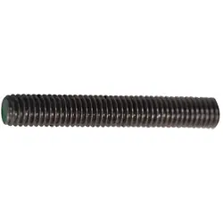 Favoriet Draadeind RVS M6x1m