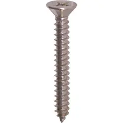 Fabrieksprijs Zelftappende schroeven platkop RVS 4,5x30mm PZ