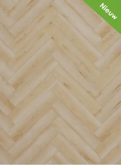 dynamic Visgraat 3600 (rigid click) Laatste Versie