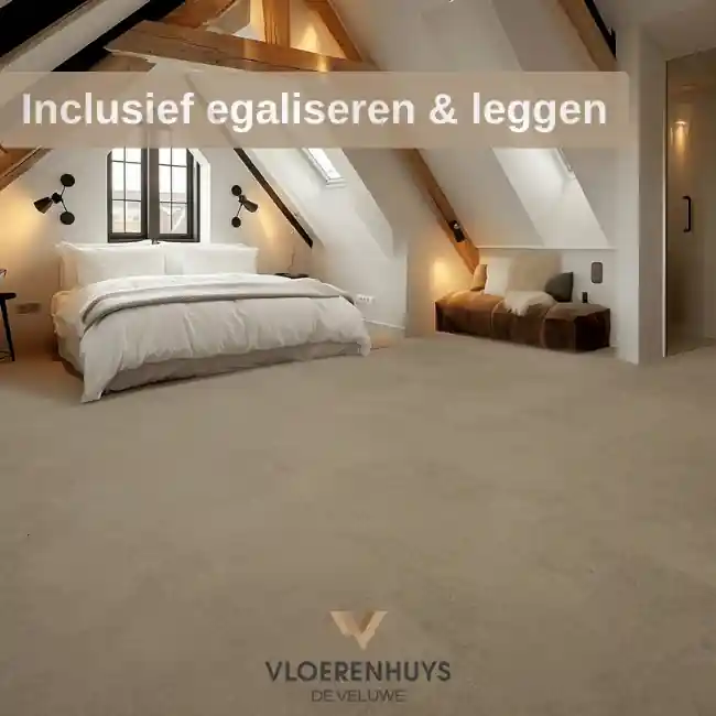 Flash 2202 inclusief leggen Exclusieve Aanbieding