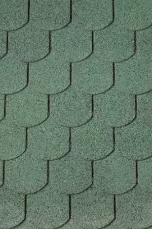 Seizoensaanbieding Dakshingles beverstaart groen Interflex