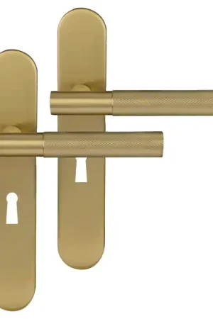 Beperkte Voorraad Differnz Utrecht deurkruk op schild afgerond 225x41x10mm BB56 mm Goud