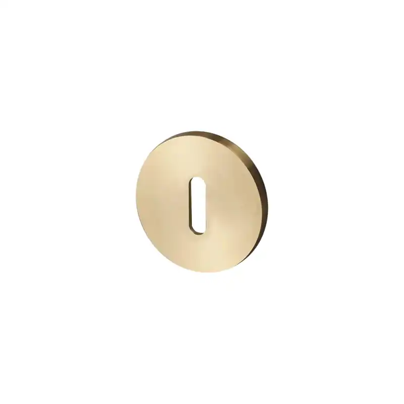 Buster and Punch sleutelrozet 51x4mm messing Weekendaanbieding