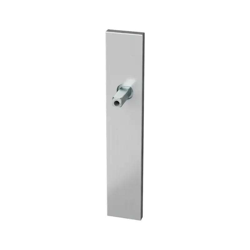 Exclusieve Aanbieding GPF1100.25 langschild rechthoekig RVS geborsteld met vastgelaste knopvastzetter