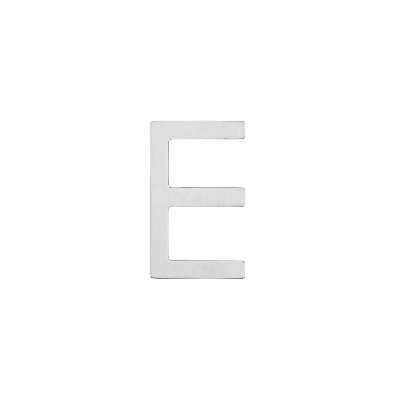 Beperkte Voorraad Intersteel Huisletter E, 100 mm RVS geborsteld