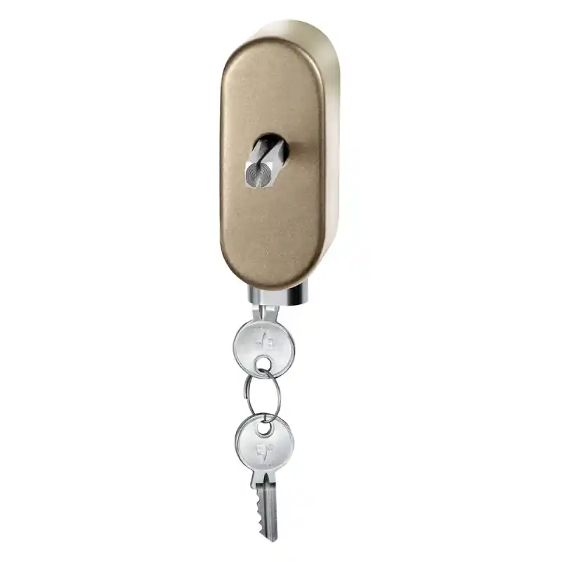 Koop Vandaag GPF9250.A4.0032 draaikiepmechanisme afsluitbaar, Champagne blend