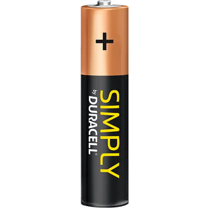 Flitsaanbieding Alkaline AAA-batterij van Duracell