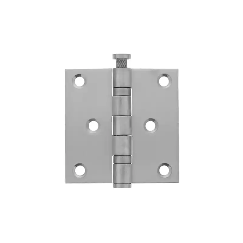 Alleen Vandaag Intersteel kogellagerscharnier recht 76x76x2,5 mm DIN links/rechts RVS